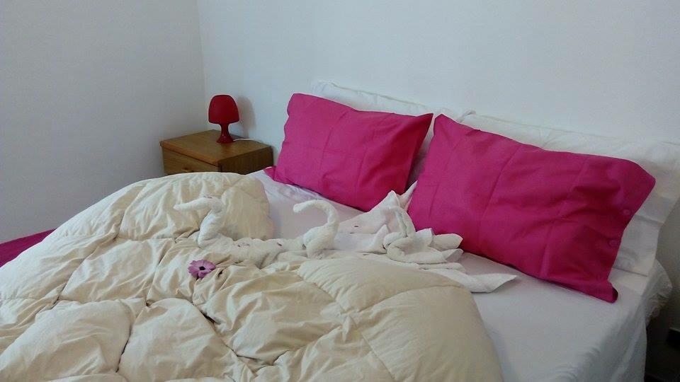 ランペドゥーザラ サリーナアパートメント 部屋 写真