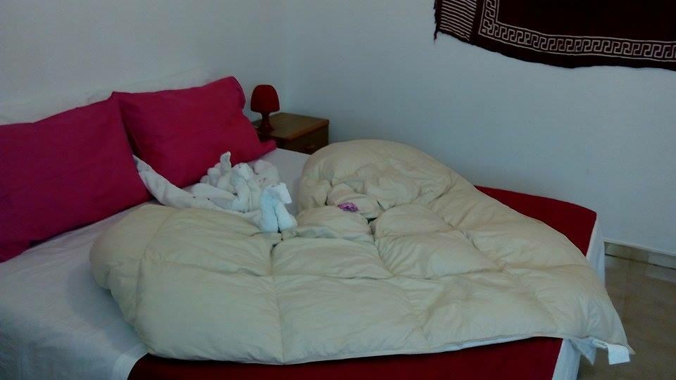 ランペドゥーザラ サリーナアパートメント 部屋 写真